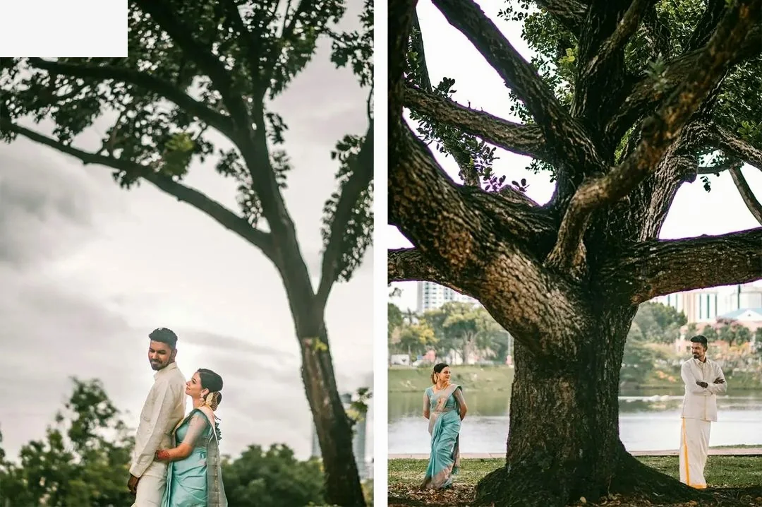 Wedding couple photographed beneath a large tree